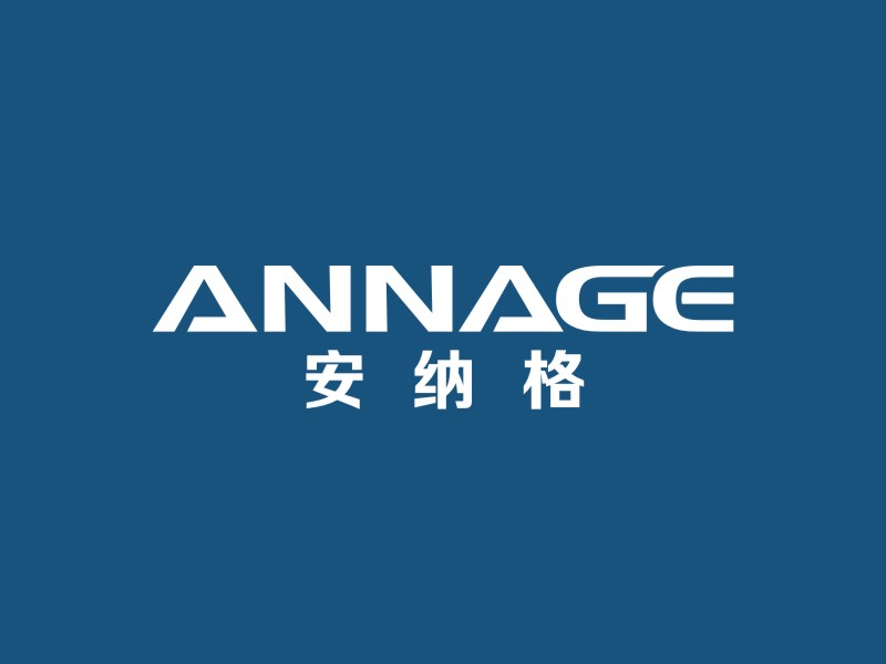 李泉輝的合肥安納格機械技術(shù)有限公司logo設計